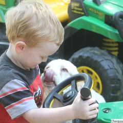 Clumber Spaniel and Irish Red and White Setter Puppies from NyaStar & Chequamegon