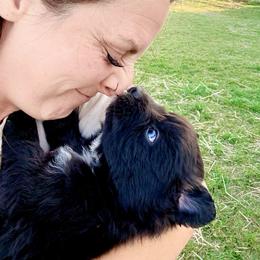 Onyx - Black & white male Australian Shepherd puppy in Mineral Wells, Texas from A6 Australian Shepards
