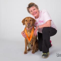 Chesapeake Bay Retrievers from Timbercreek Acres