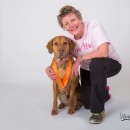 Chesapeake Bay Retrievers from Timbercreek Acres