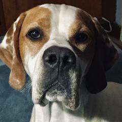 Pointers from Corwyn Pointers