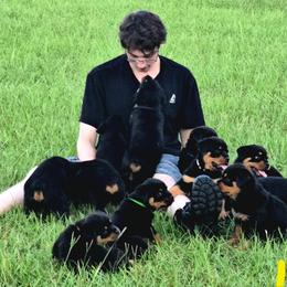 Border Collie and Rottweiler Puppies from K&R RANCH KENNELS
