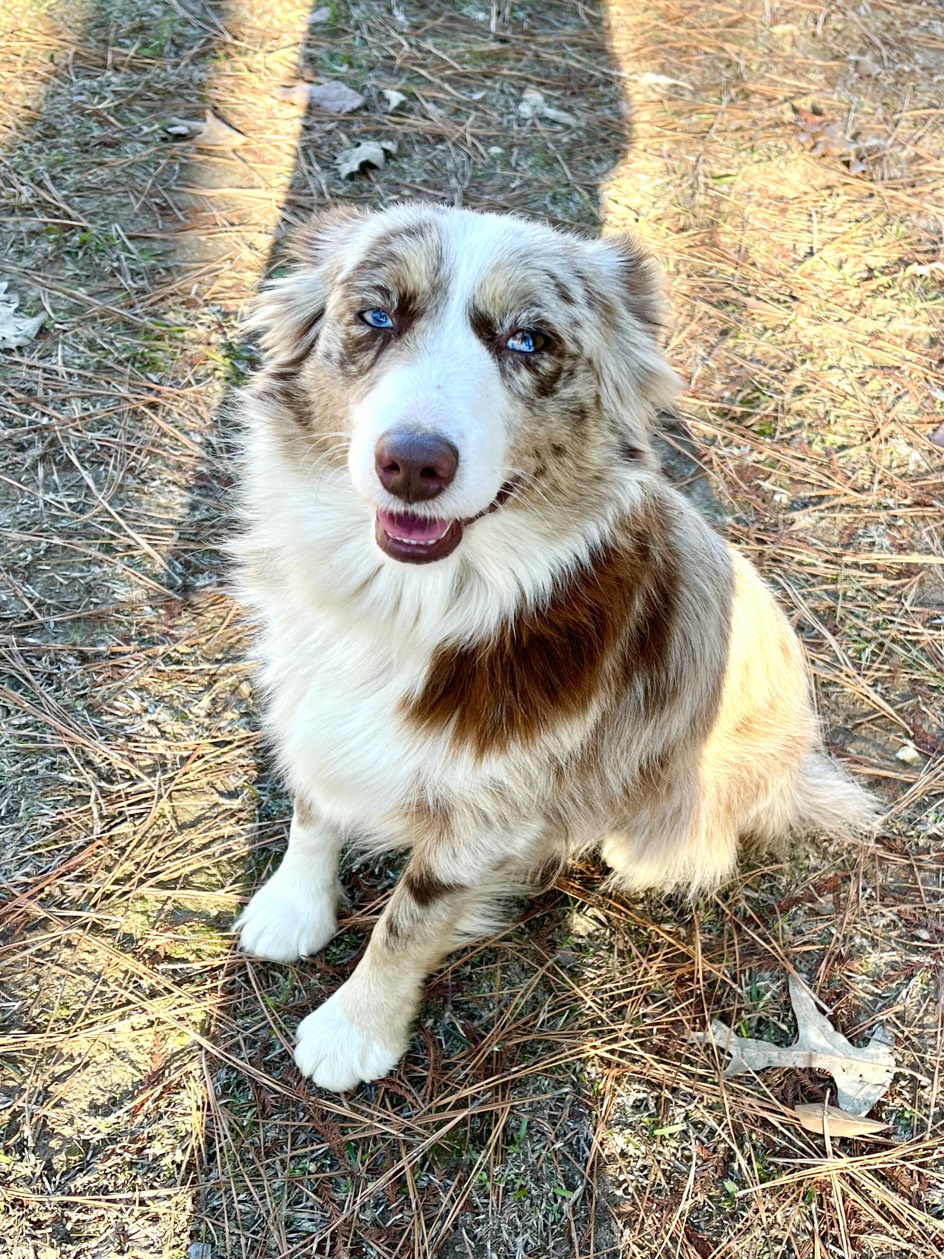 Nyla