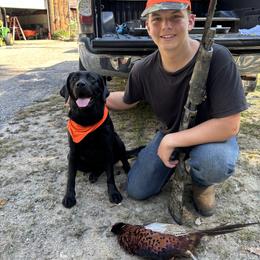 Tika - Labrador Retriever