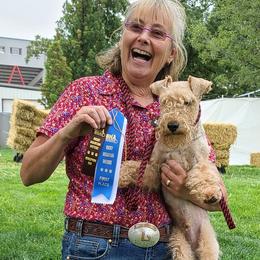 Giant Schnauzer and Lakeland Terrier Puppies from Lazy VL Lakelands