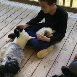 Havana Silk Dog Puppies from Marge Feiner