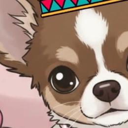 Chihuahuas from Pupcup’s Crown Collection