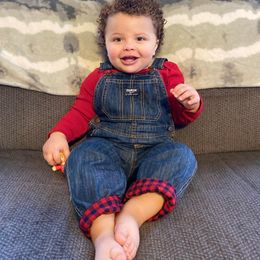 Labrador Retriever Puppies from Bogs Edge Labradors
