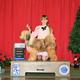 Chase-AKC Champion