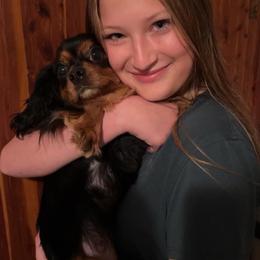 Carley - Black and tan female Cavalier King Charles Spaniel puppy in Daphne, Alabama from Darling Australians