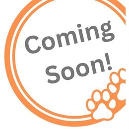 Cocoa Puffs - Black red and white female Beagle puppy in Rose Bud, Arkansas from Rajun Cajun Kennels