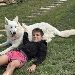 Berger Blanc Suisse and German Shepherd Puppies from Scenic Creek German Shepherds and White Swiss Shepherds