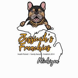 French Bulldog Puppies from Jessicah's Frenchies Howell Michigan