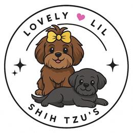 Shih Tzu puppies from Pretty Paws & Pearls Shih Tzu's