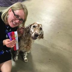 English Setters and Shetland Sheepdogs from North Roe Kennels