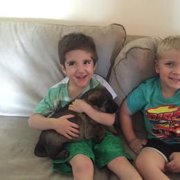 German Shepherd Puppies from Cindy Davis