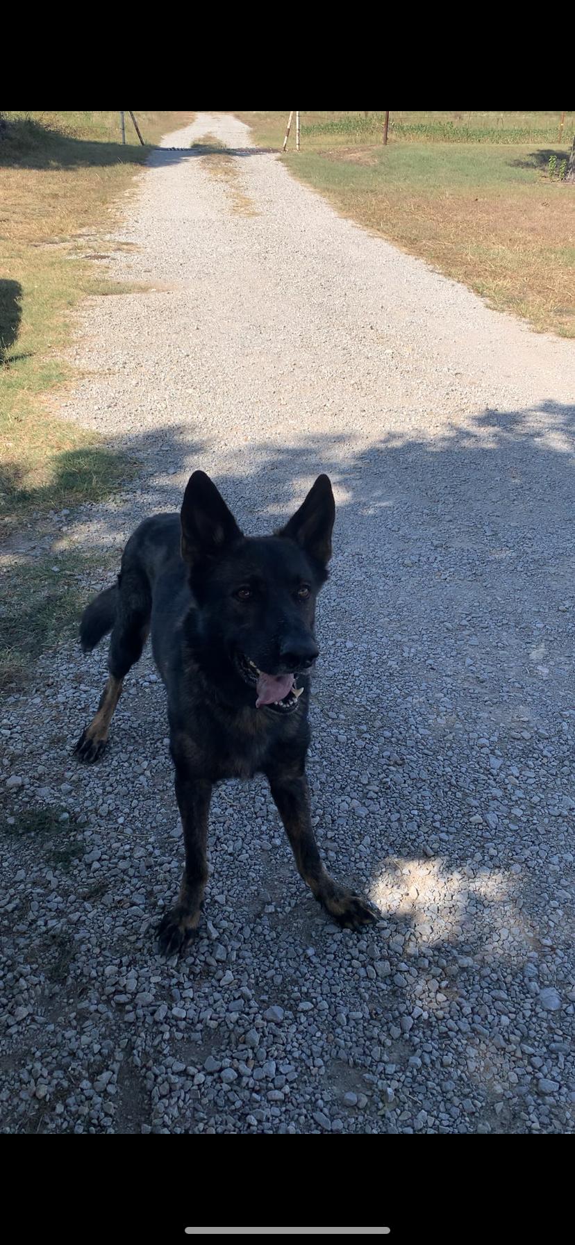 Max