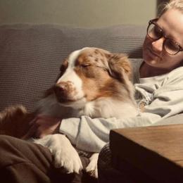 King - Australian Shepherd