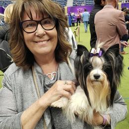 Dotty - Biewer Terrier