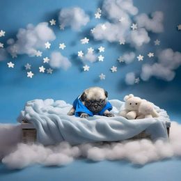 Pug Puppies from Precious Paws