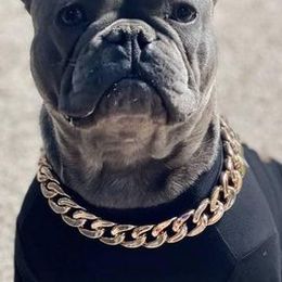 French Bulldogs from A Royal Frenchie