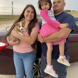 Pembroke Welsh Corgi Puppies from Loves Classic Corgis