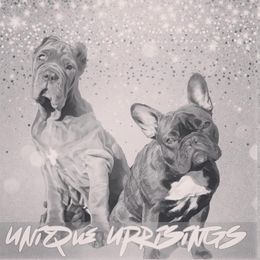 French Bulldogs and Neapolitan Mastiffs from Unique Uprisings