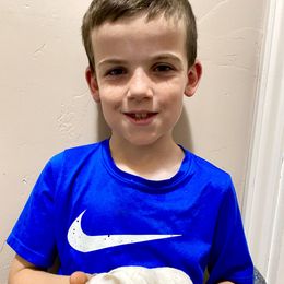 Bernedoodle and Cavapoo Puppies from Sugar Doodles Pups