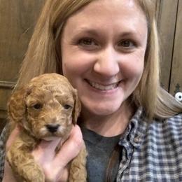 Cockapoo Puppies from Ouachita River Cockapoos