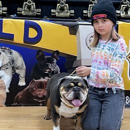 Bulldogs and French Bulldogs from Davis Family Bulldogs