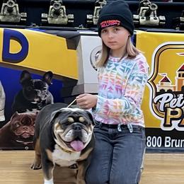 Bulldogs and French Bulldogs from Davis Family Bulldogs