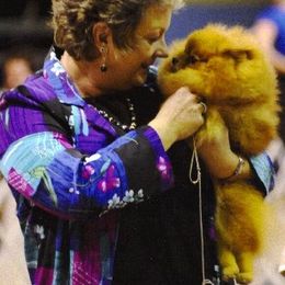 Pomeranians from WOW Pomz