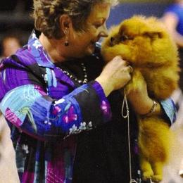 Pomeranians from WOW Pomz