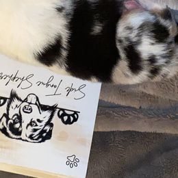 Shock - Australian Shepherd puppy in Poway, California from Side Tongue Shepherds