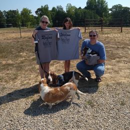 Basset Hound Puppies from Redbud Ranch Basset Hounds