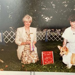 Coton de Tulear Puppies from Marnac