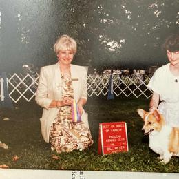 Coton de Tulear Puppies from Marnac