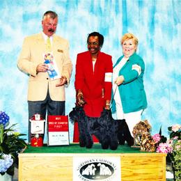 Miniature Schnauzers from Glendora's