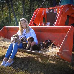 Aussiedoodle Puppies from Gore Doodle Ranch