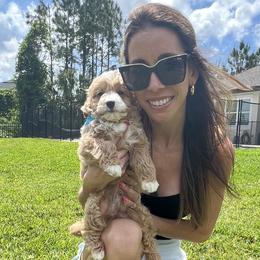 Bernedoodles, Cavapoos, and Goldendoodles from Florida Coast Doodles