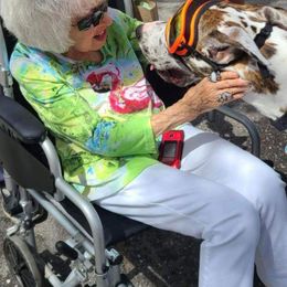 Great Dane Puppies from F&B Kennels