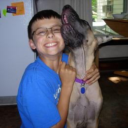 Great Dane Puppies from DiolaDanes