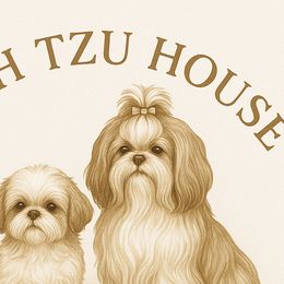 Shih Tzus from Shih Tzu House