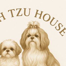 Shih Tzus from Shih Tzu House