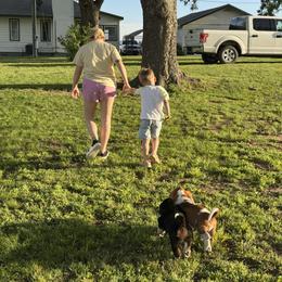 Basset Hound Puppies from Lazy Daisy Basset Hounds