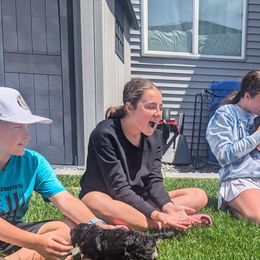 Poodle Puppies from New Hope Standard Poodles