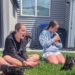 Poodle Puppies from New Hope Standard Poodles