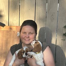 Cavalier King Charles Spaniel, Cavapoo, Companion Cross, and Pomeranian Puppies from MirVit Happy Tails Puppies