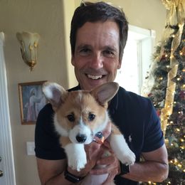 Freya - Red female Pembroke Welsh Corgi puppy in Red Bluff, California from Ruby's Corgi's