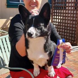 Jackie - Cardigan Welsh Corgi